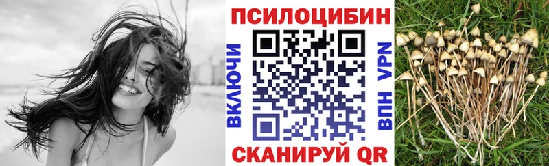Псилоцибиновые грибы мухоморы  Княгинино 
